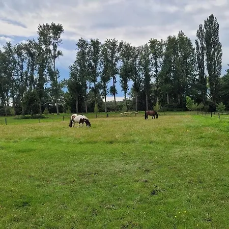 Authentieke Schuurwoning 'Erve Meuleneind' Lochem
