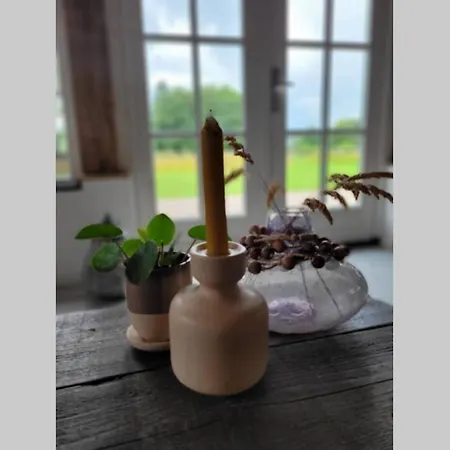 Authentieke Schuurwoning 'Erve Meuleneind' Holiday home Lochem